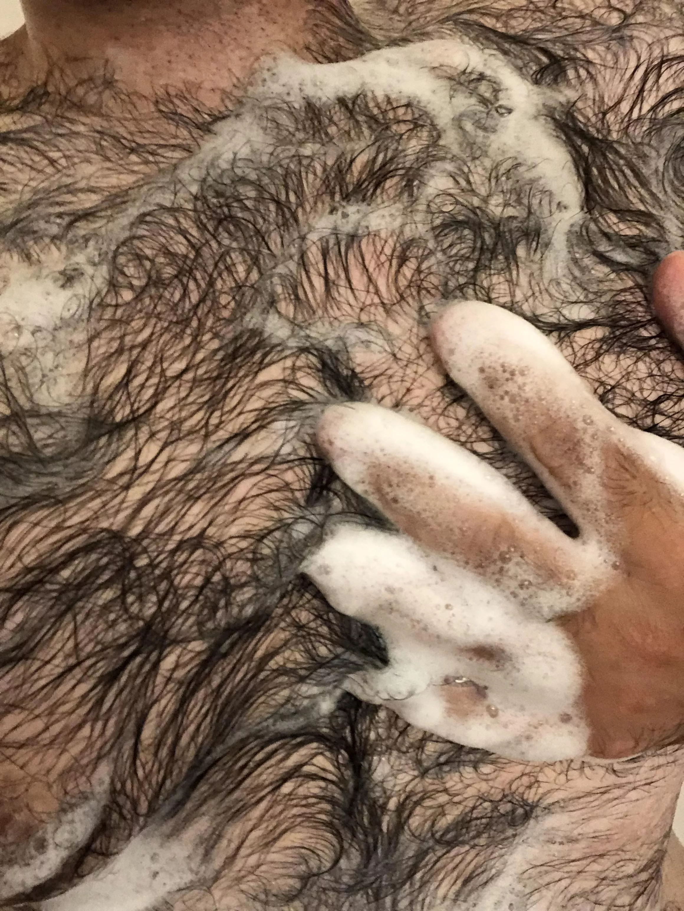 Washing my fur and trying to cool off with this hot weather 🥵