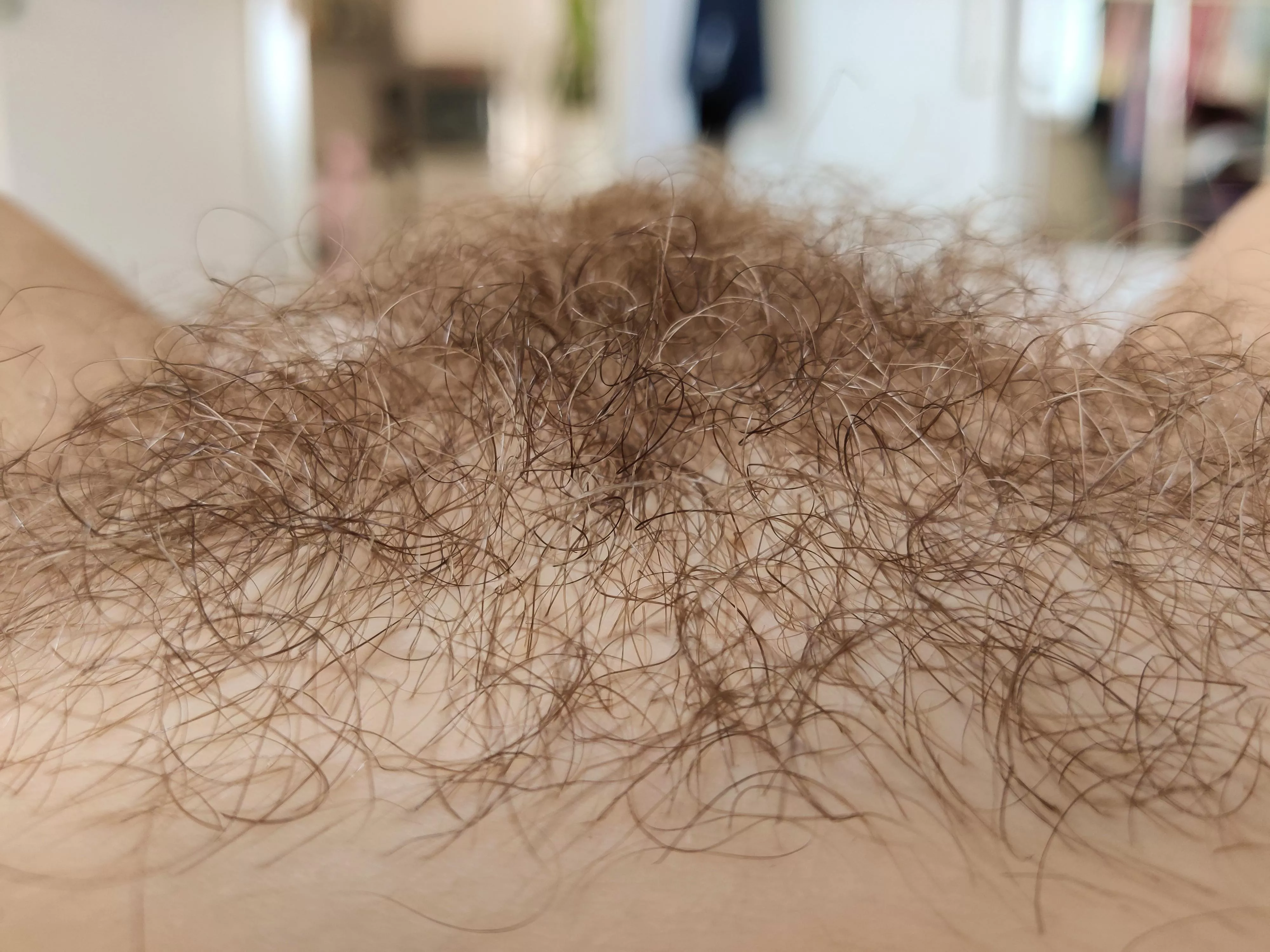 Who wants to rest there? 🪴😌