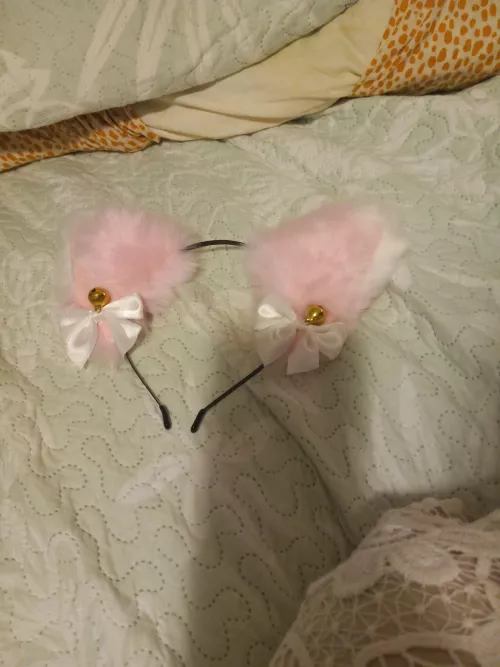 bet you'd look so cute with these on