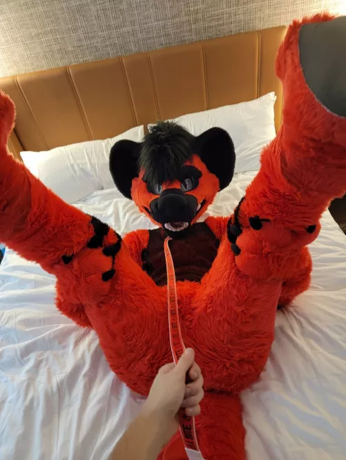 Leashes just make you feel some type of way. 🥵