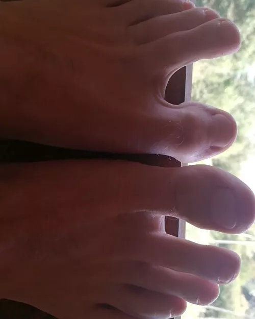 Trying not to step on the floor so you can suck them later