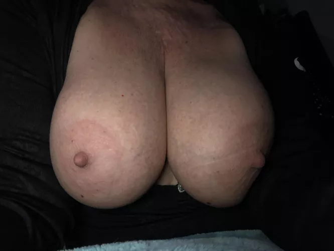 Upvote my breasts please