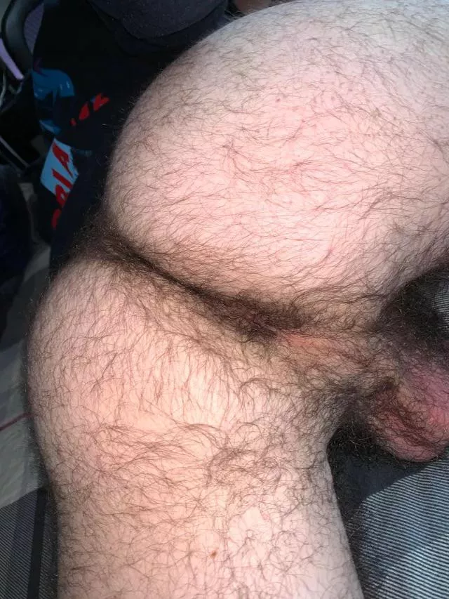 24 in shape with a big furry bubble butt. 🤪DM me.