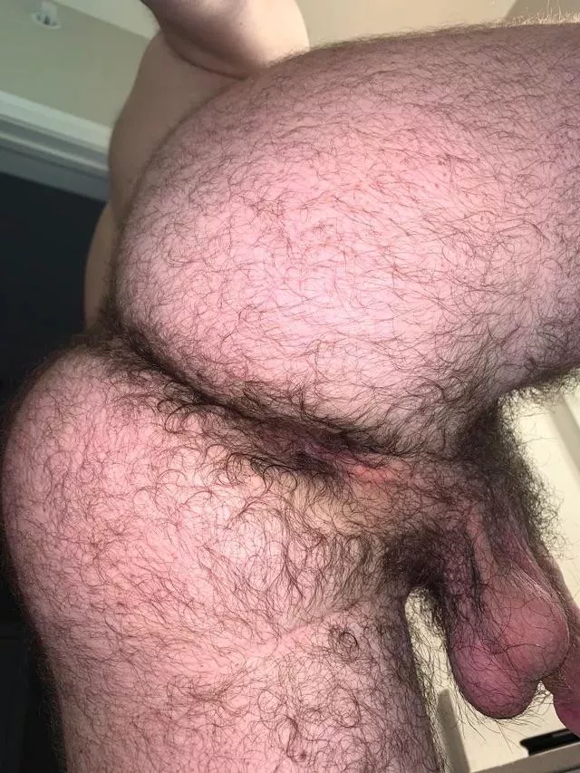 24 in shape with a big furry bubble butt. 🤪DM me or add my wickr: FurryBroBro