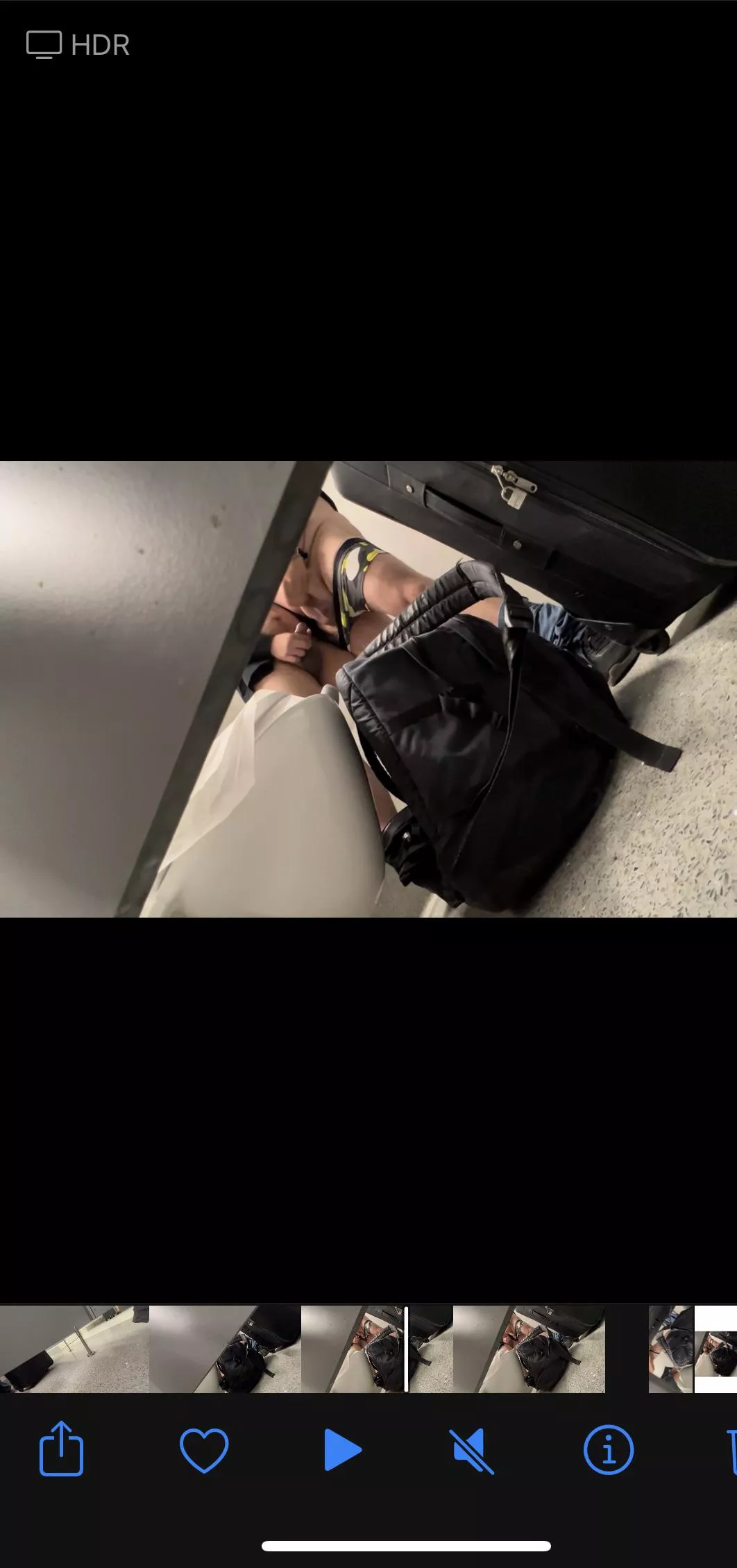 Bears at the airport letting it out🐻 🐻