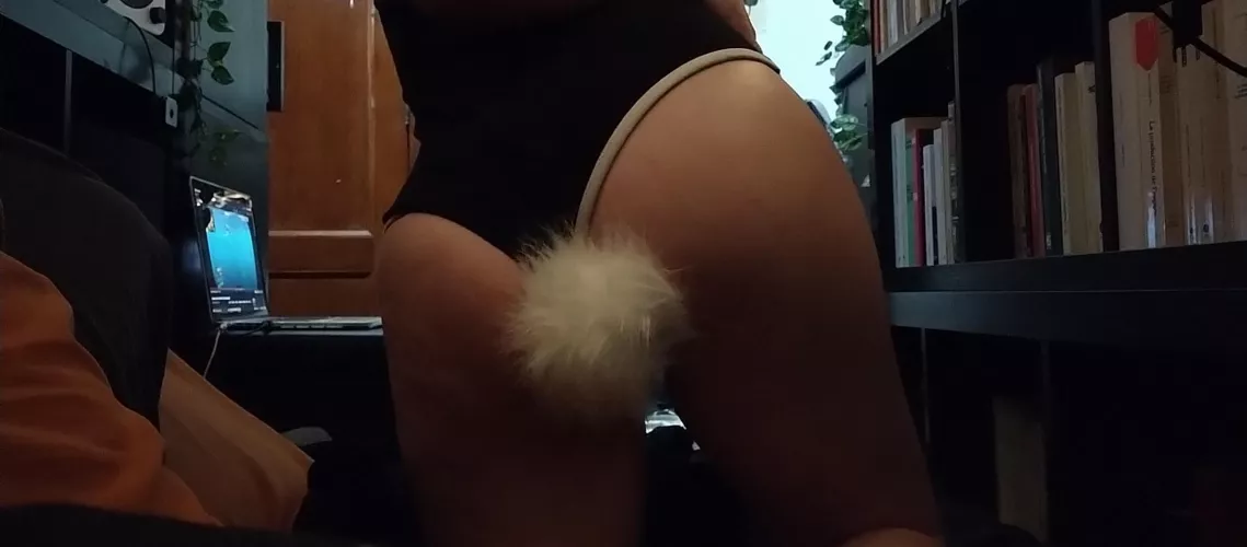 Bunny tail training 💖💞