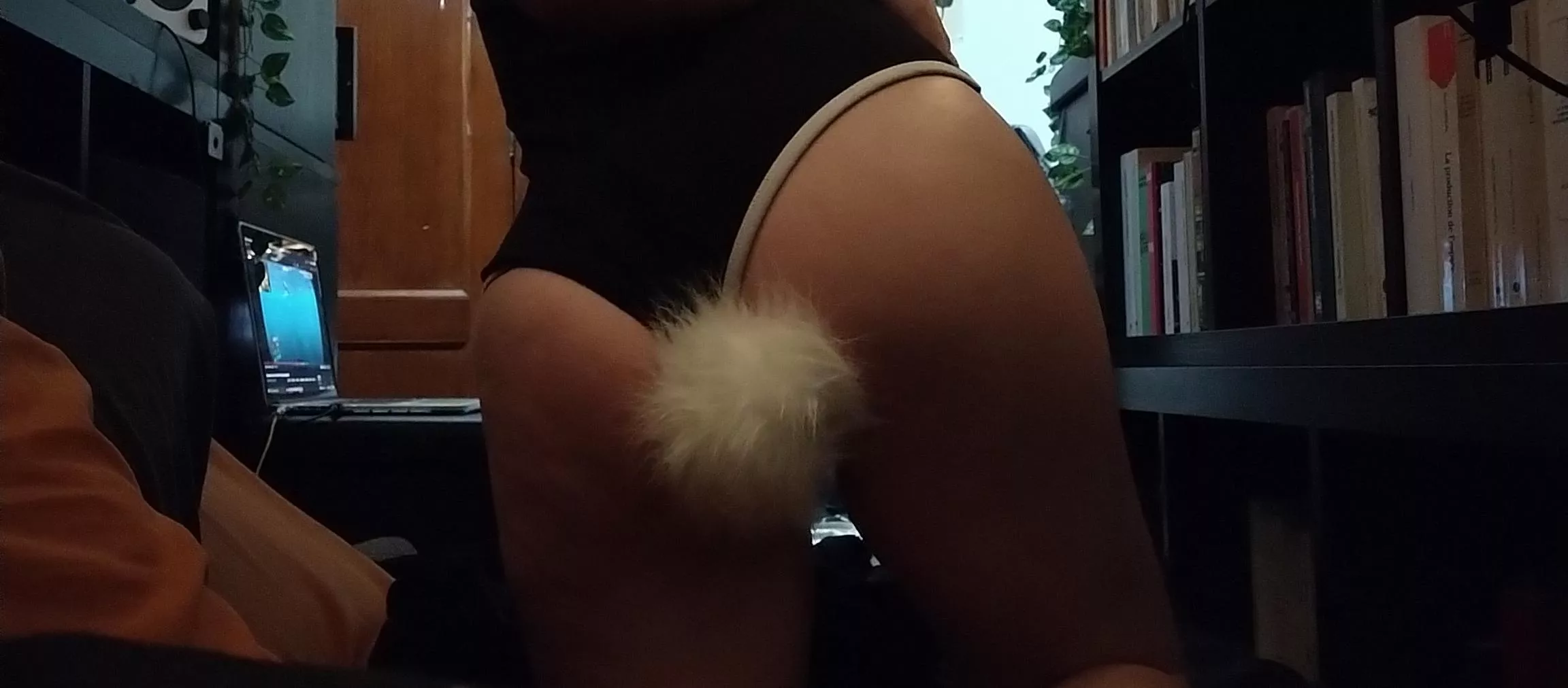 Bunny tail training 💖💞