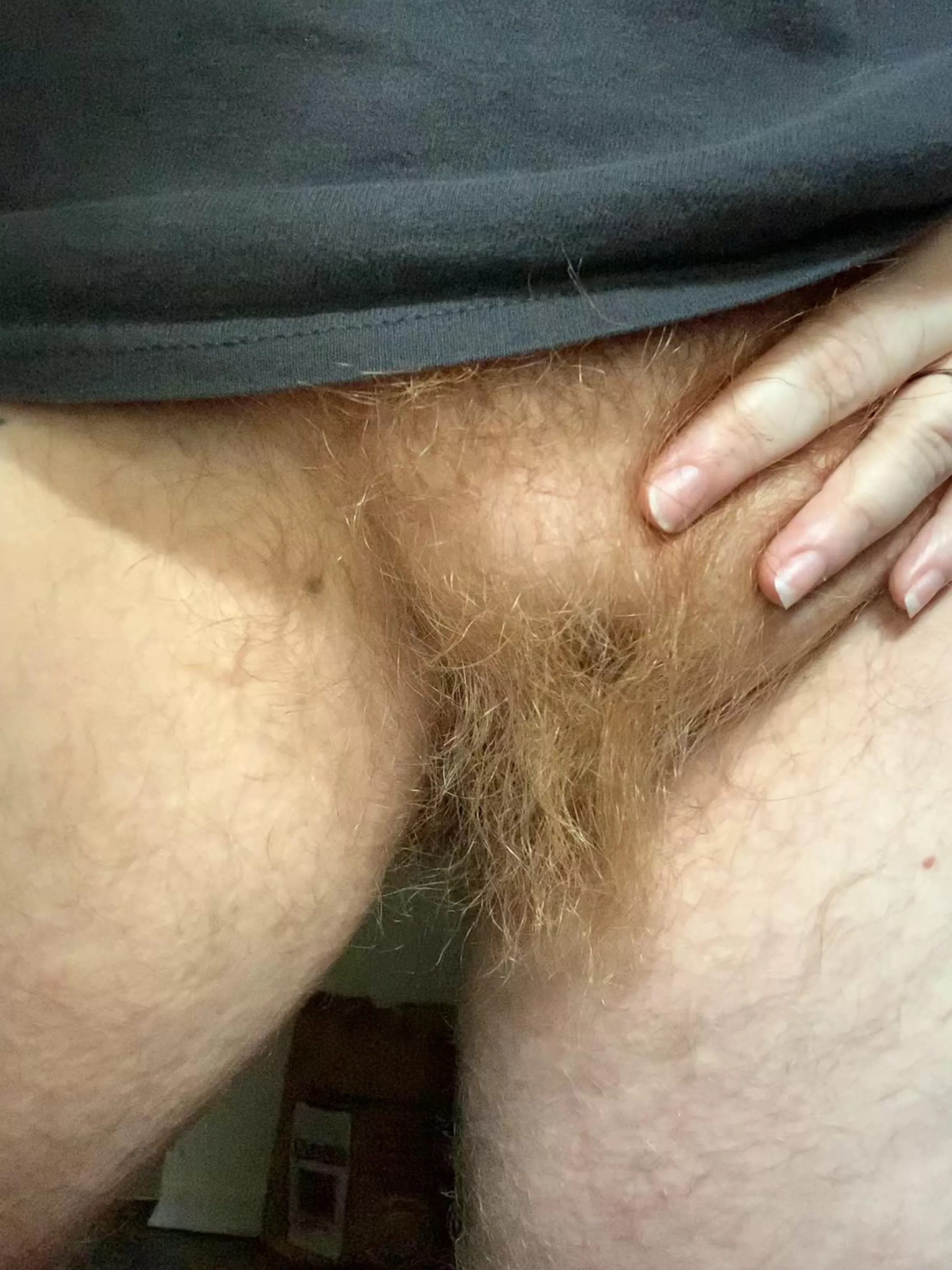 Have you ever seen such a long and ❤️‍🔥ginger❤️‍🔥 bush?