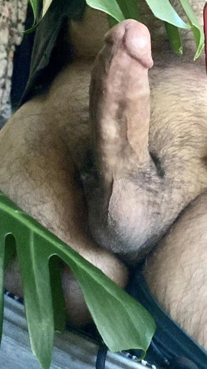 I’m something of an indoor plant lover 🌱 [m]