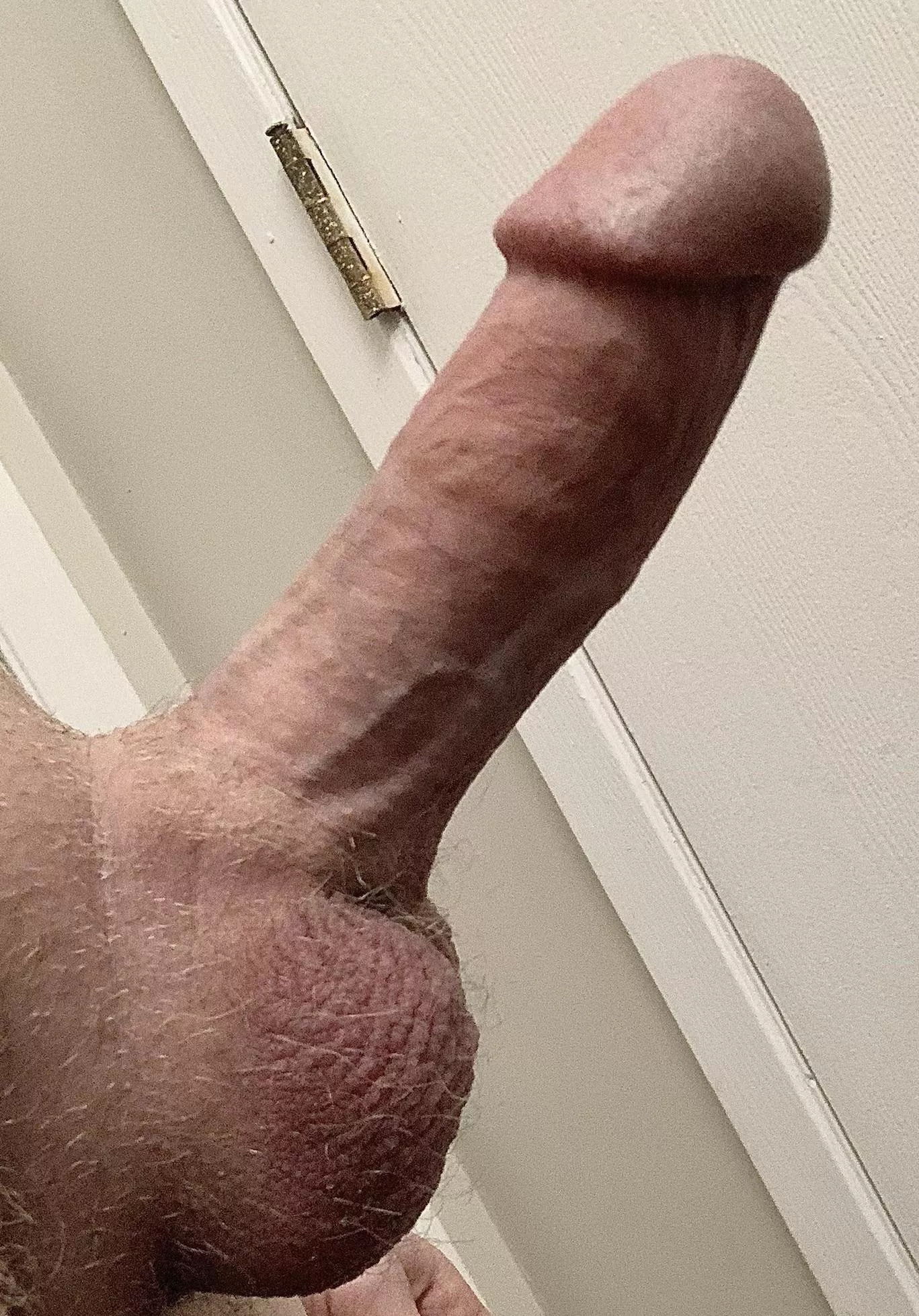 It’s hump day 😉