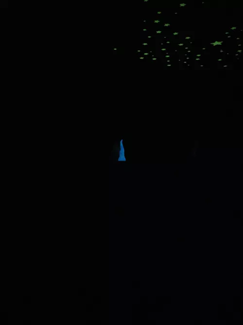 now that's a glow 👽