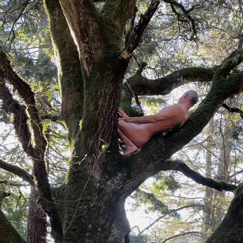 🌳 Tree Pose Tuesday 🌳