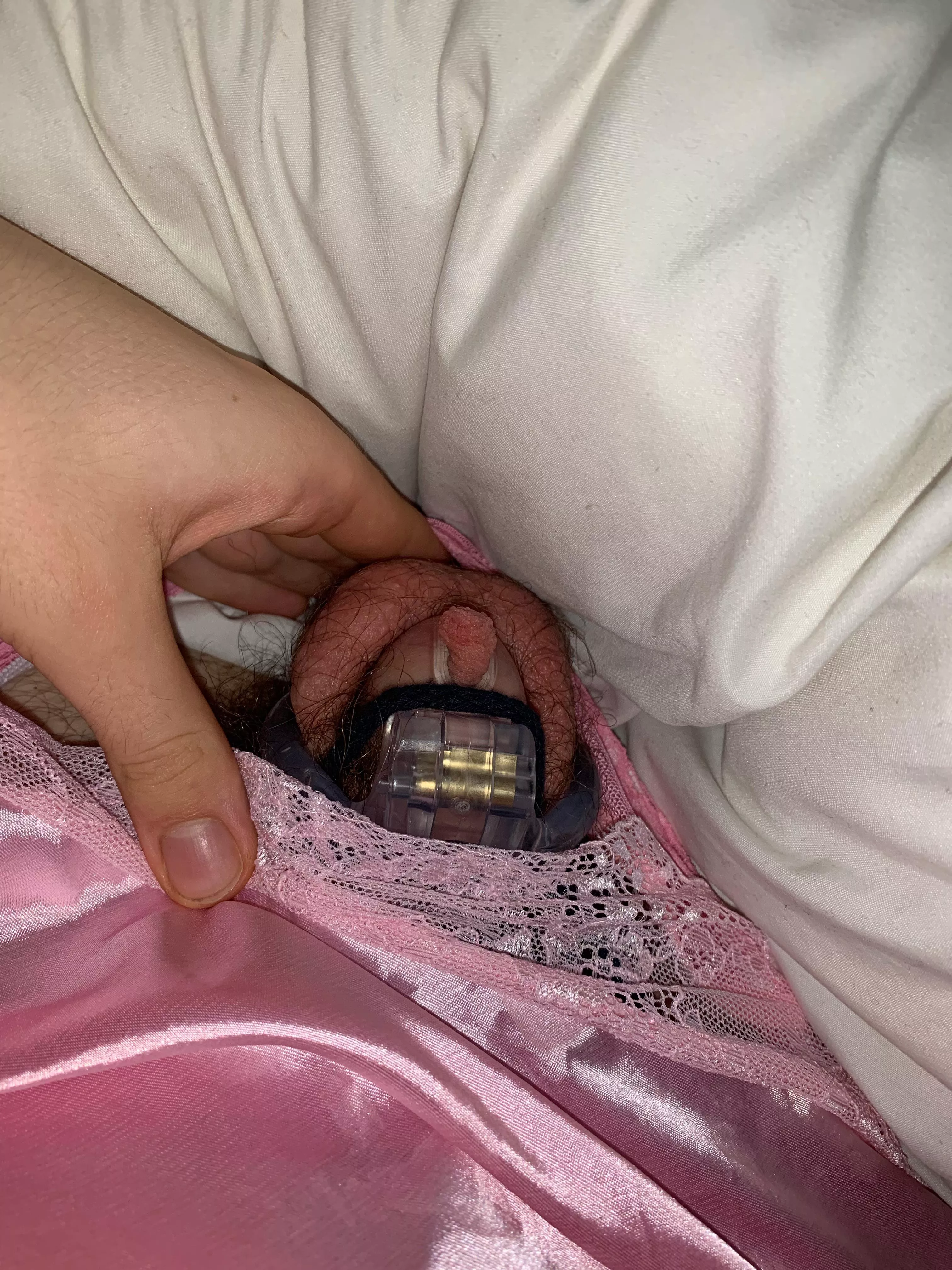 very happy with new cage