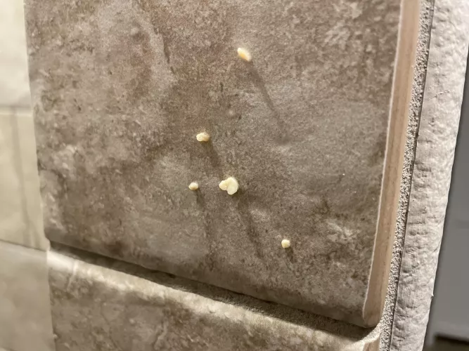 I hacked up these tonsil stones from my throat this morning in the shower
