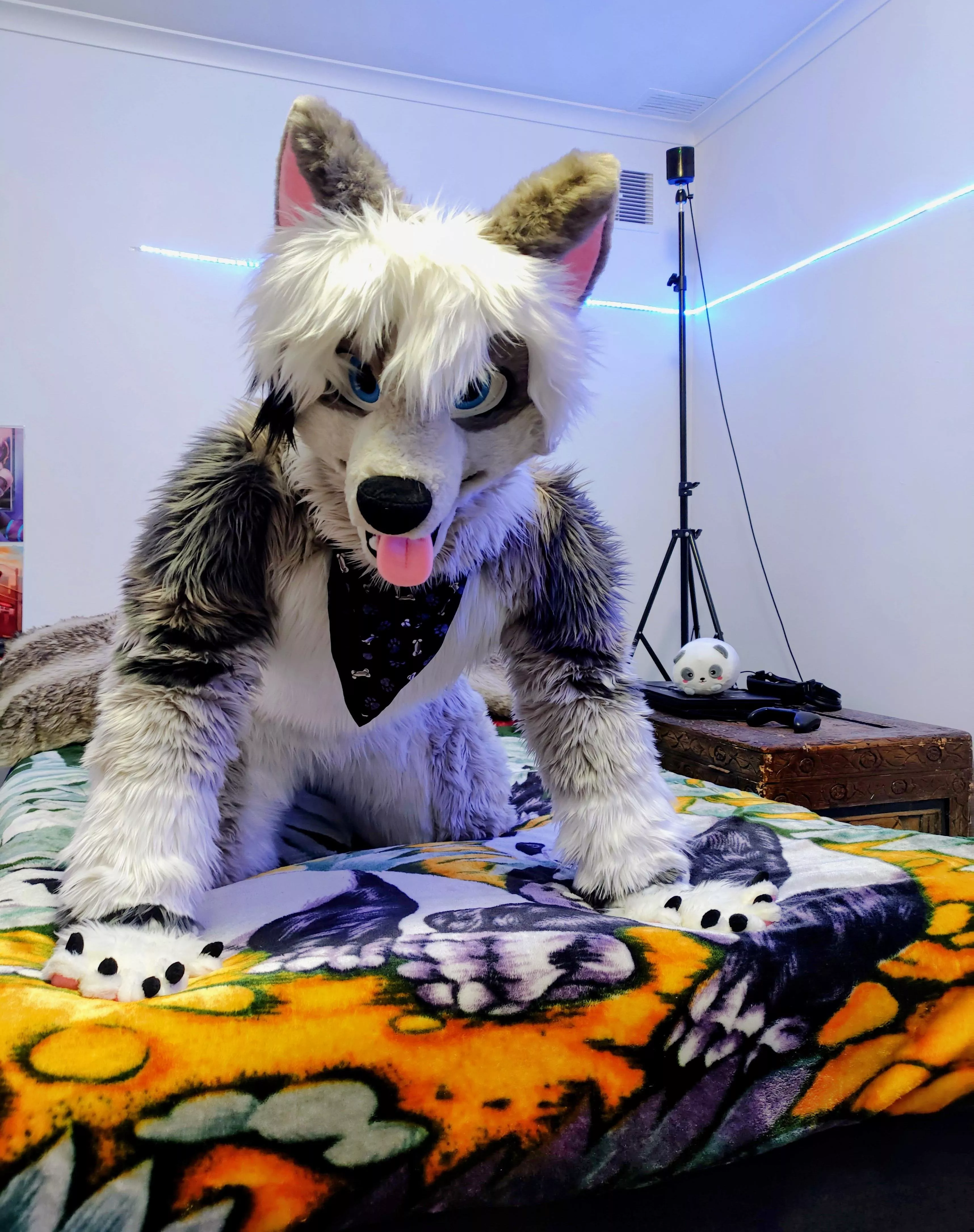 If you get any closer I'll have to cuddle you! 🐾