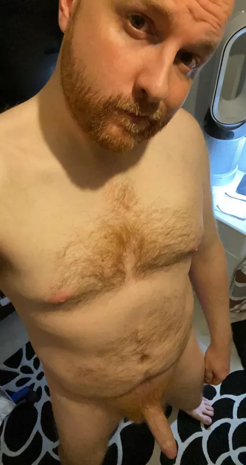 My ginger beard and cock.