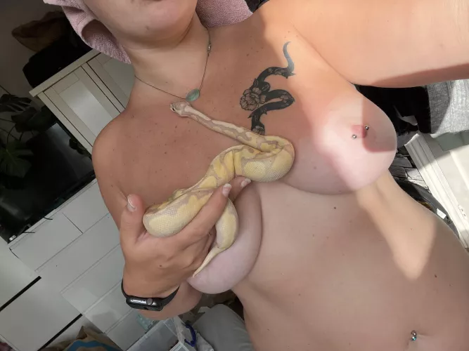 Who fancy’s replacing my snake with theirs 😈