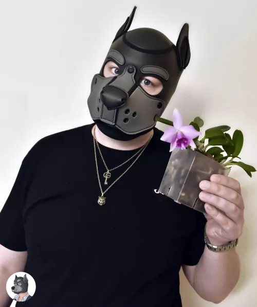 Wooooofy is a tropical orchid plant daddi! 🐺 🐾