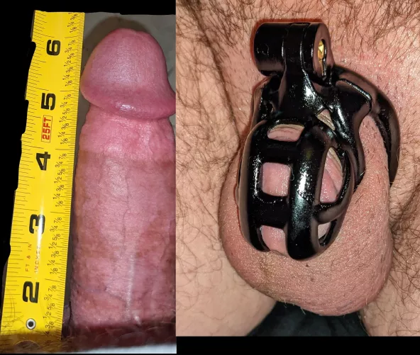 All of this fits into this 🔐