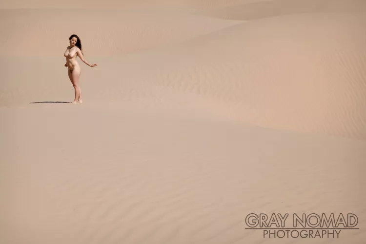 In the desert you can't remember your name