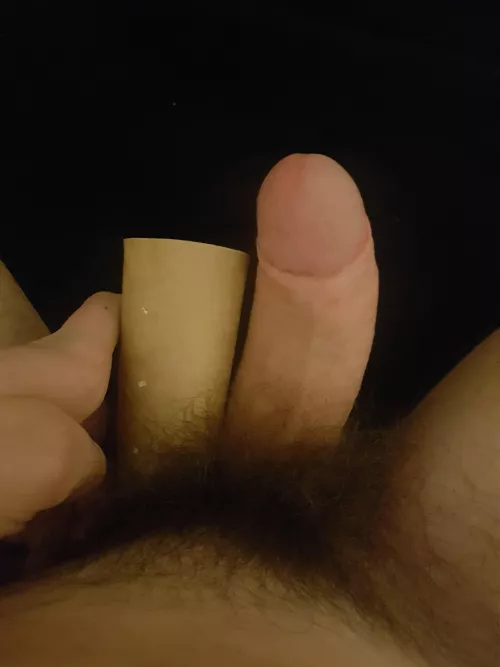 my dick compared to a tp roll, guess how big