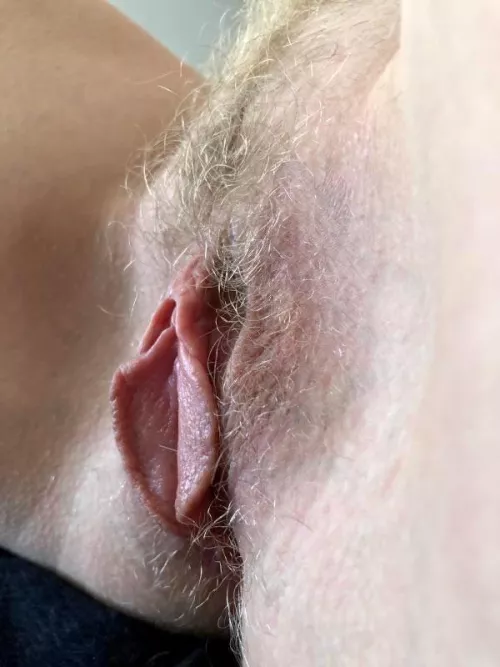 Wife’s Wild Hairy Blonde Bush and Beefy Hanging Labia. My KIK: mybhb