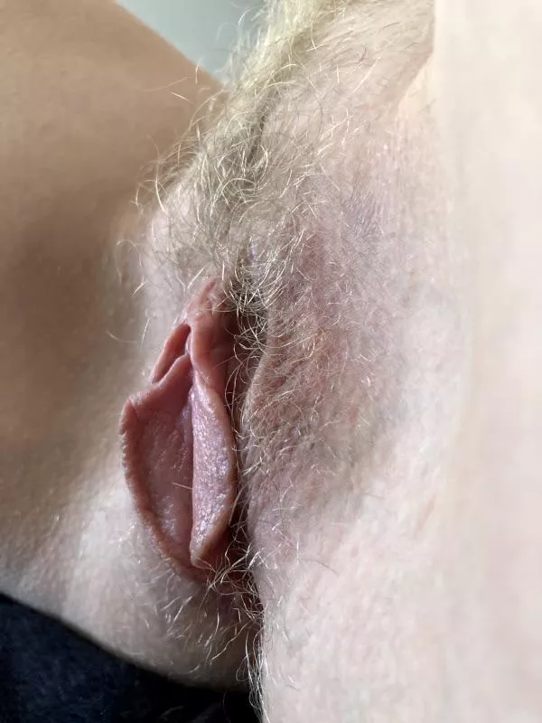 Wife’s Wild Hairy Blonde Bush and Beefy Hanging Labia. My KIK: mybhb