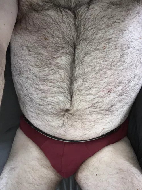 50, UK looking for other sexy bears 😊
