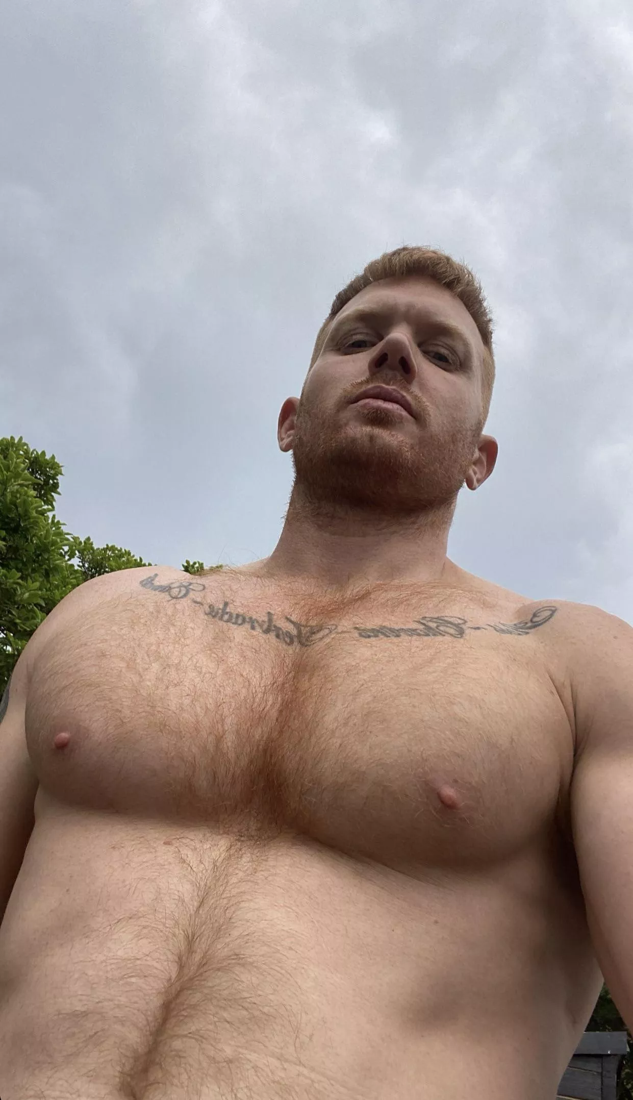Alpha pecs