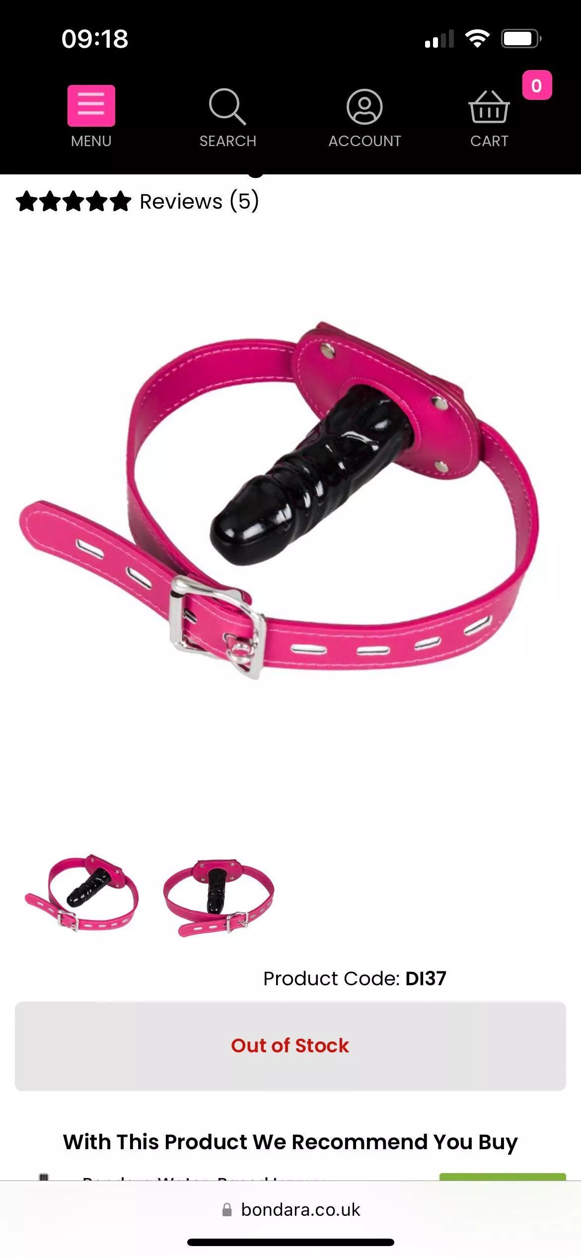 I love girls housing this gag! Does any girls on here use it?