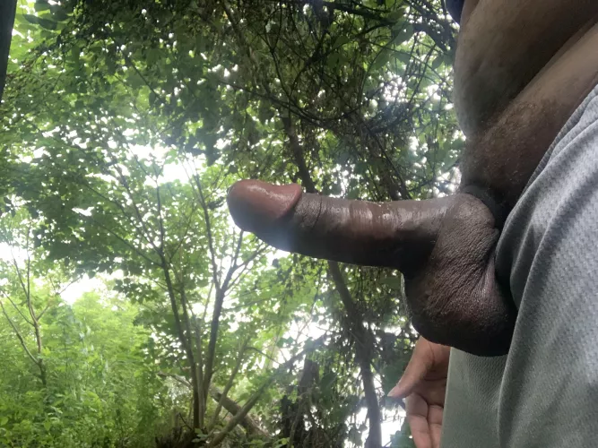 In the middle of the park with my dick out. . . What would you say if you saw?