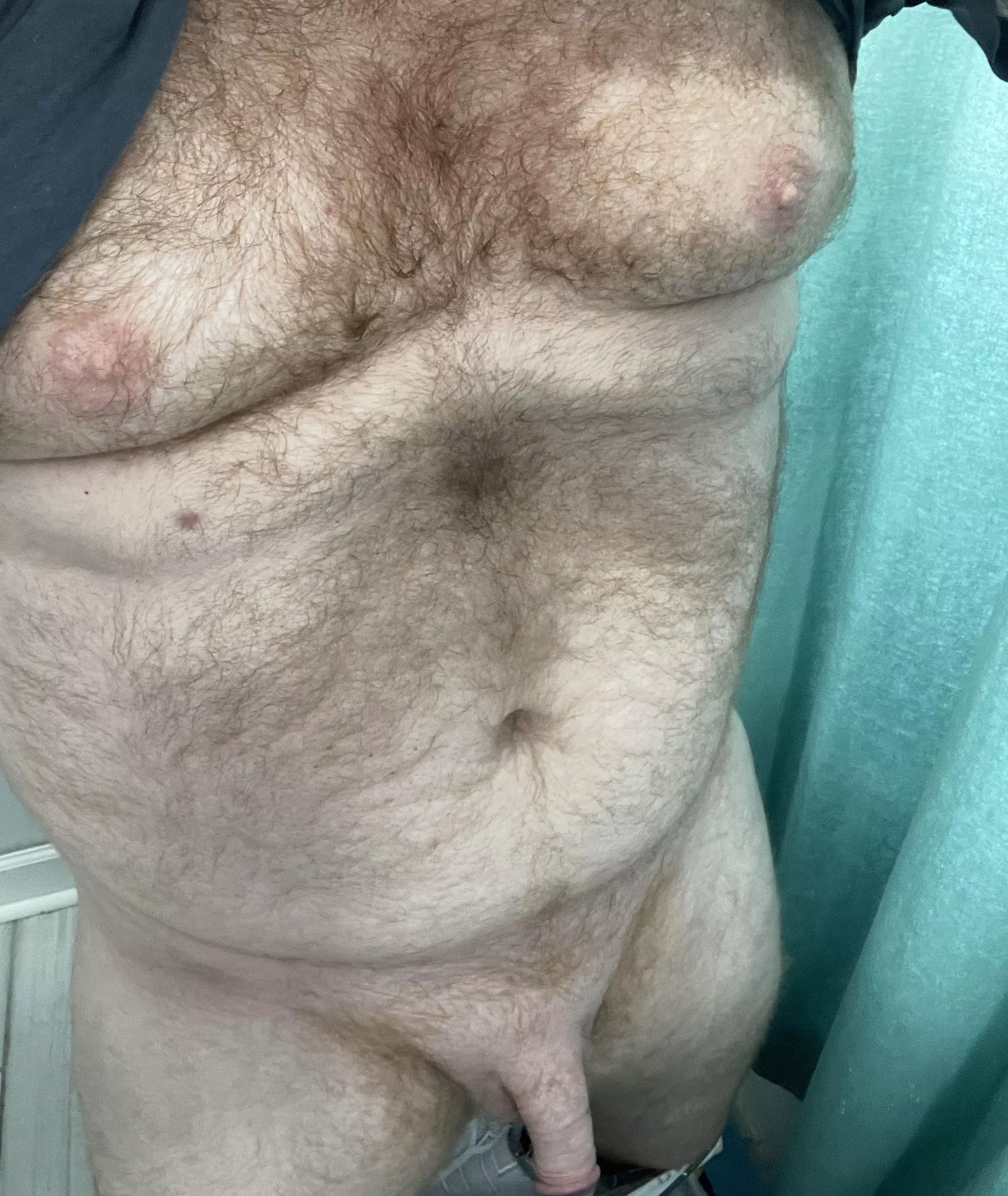 New here anyone like ginger bears? (1st post be nice 🫣)