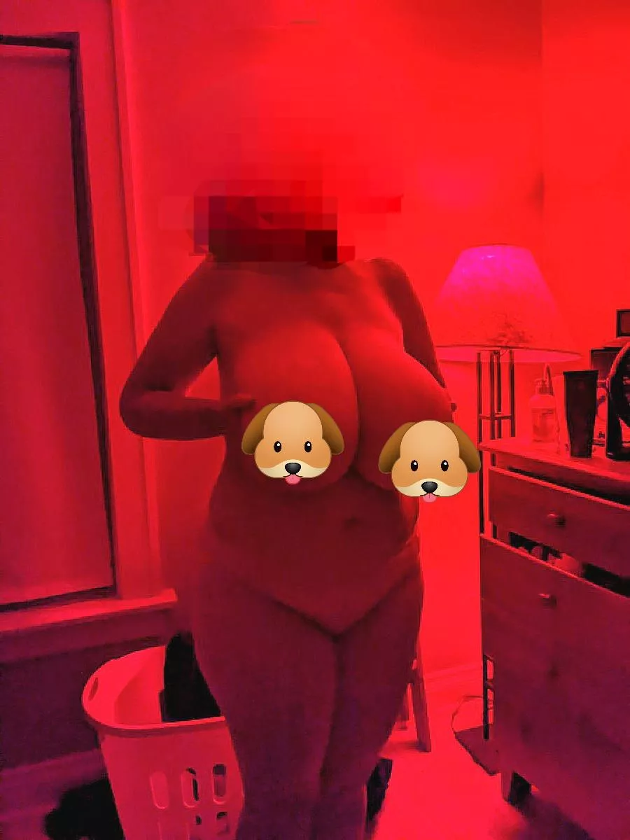 Woof woof! p.s. she made me put the puppies.