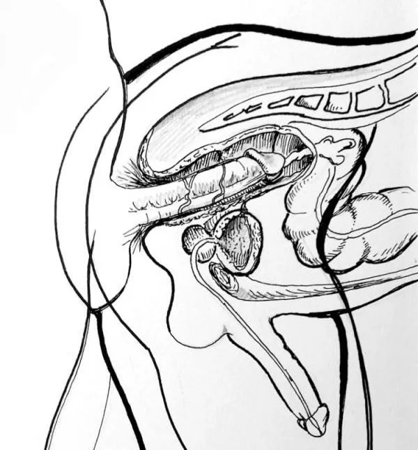 “Bareback looks like this” … “Bareback looks like this” …
