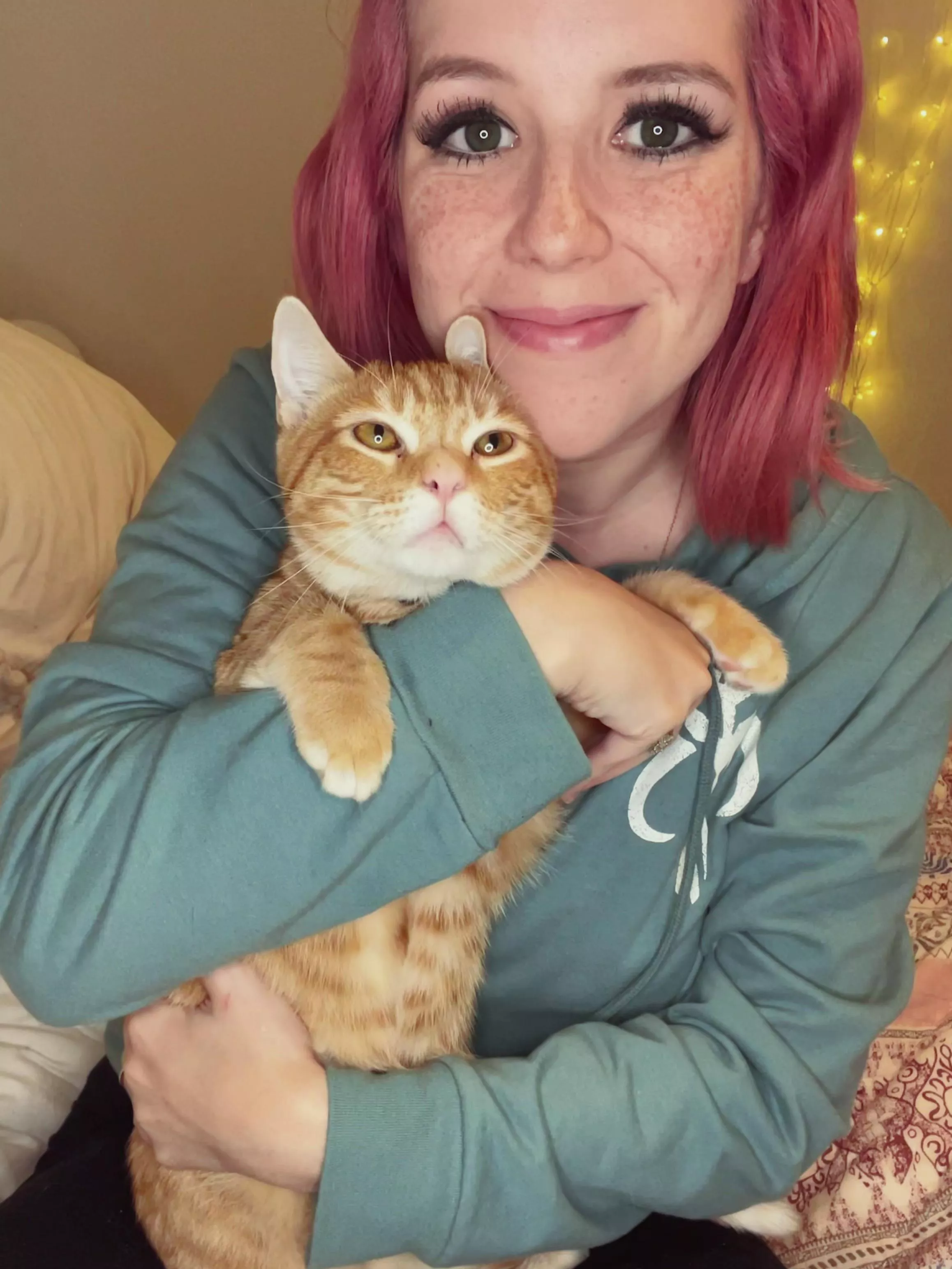 My interests summed up in one picture, can you guess?