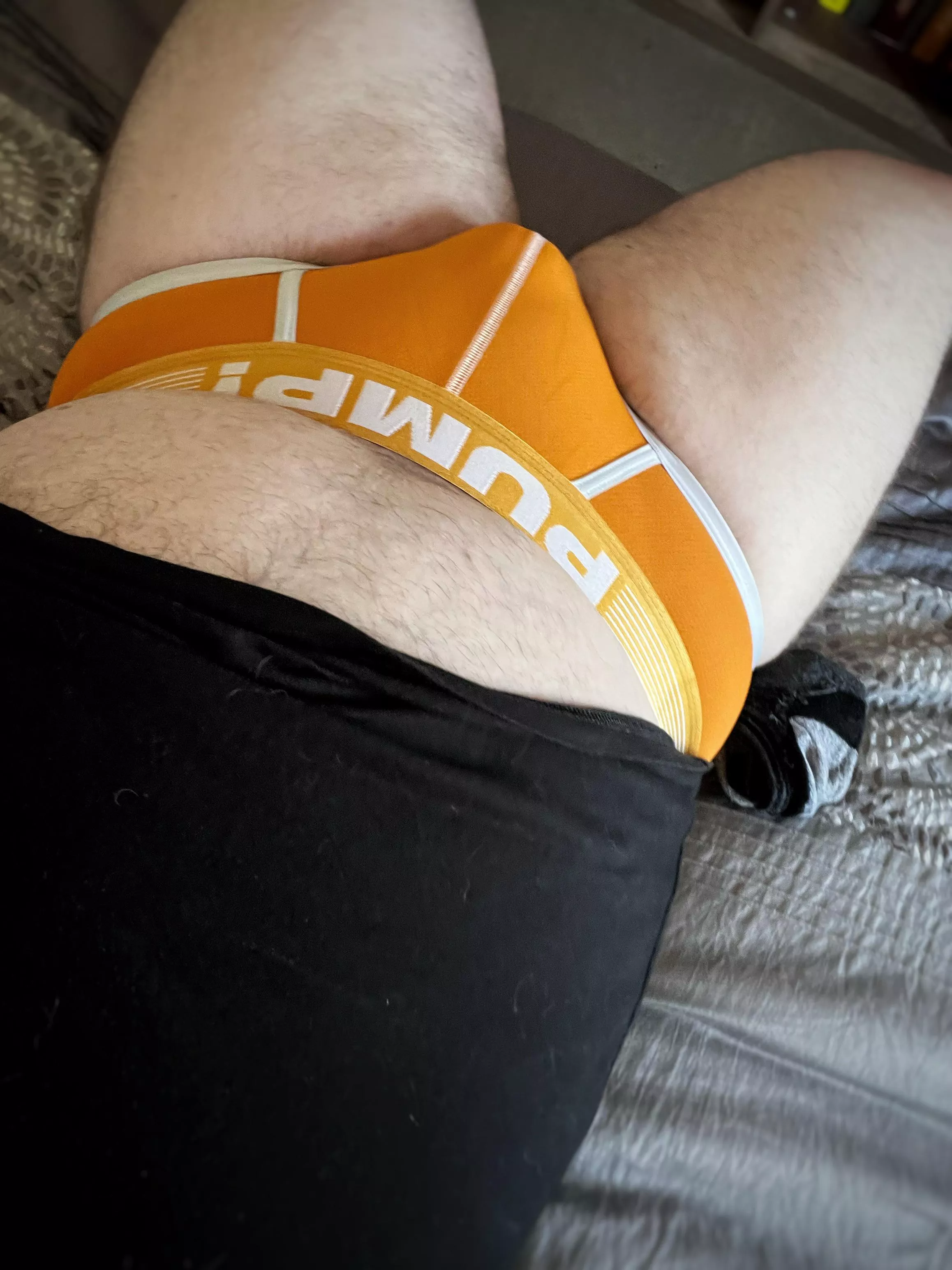 Orange creamsicle brief for today! 🤓☀️