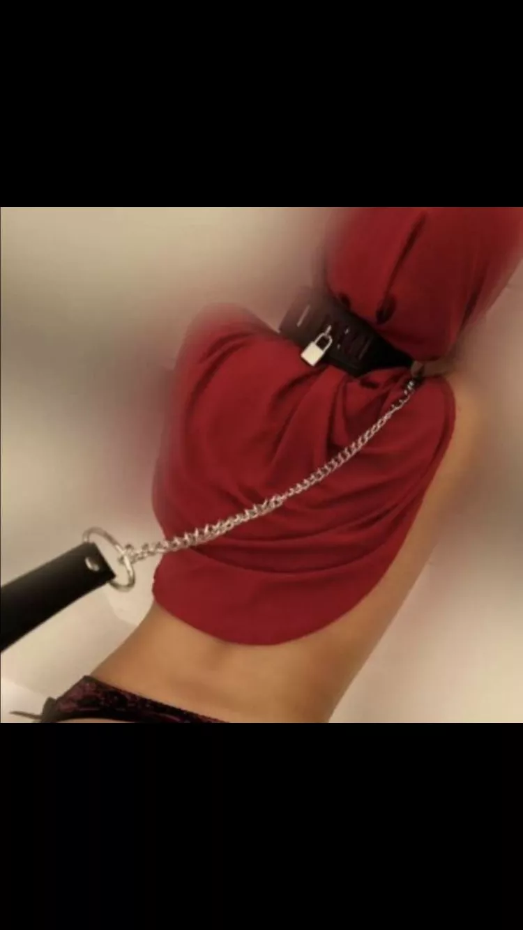 Superior White American Owner Looking For New Inferior Housewhore Fuck Toy