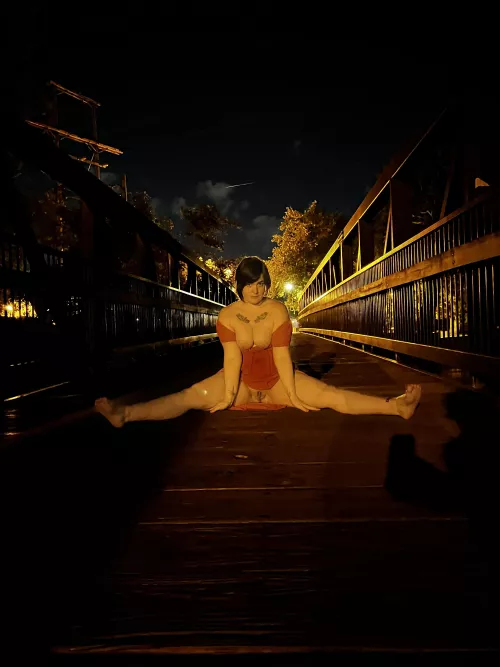 You have to pay the toll to cross the bridge [f]