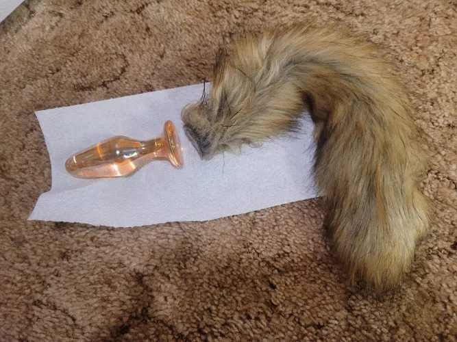 broken tail :( I've had 2 different types of fox tail plugs fail... is there a tail that won't do this?