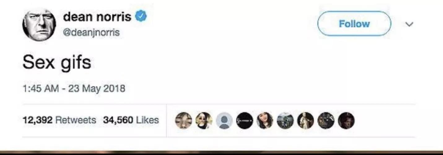 Hank that’s not the search bar!