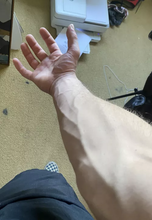 Hope everyone’s week is off to a good start !