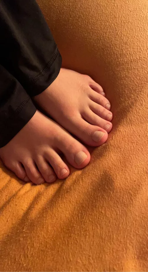 A lovely little close up