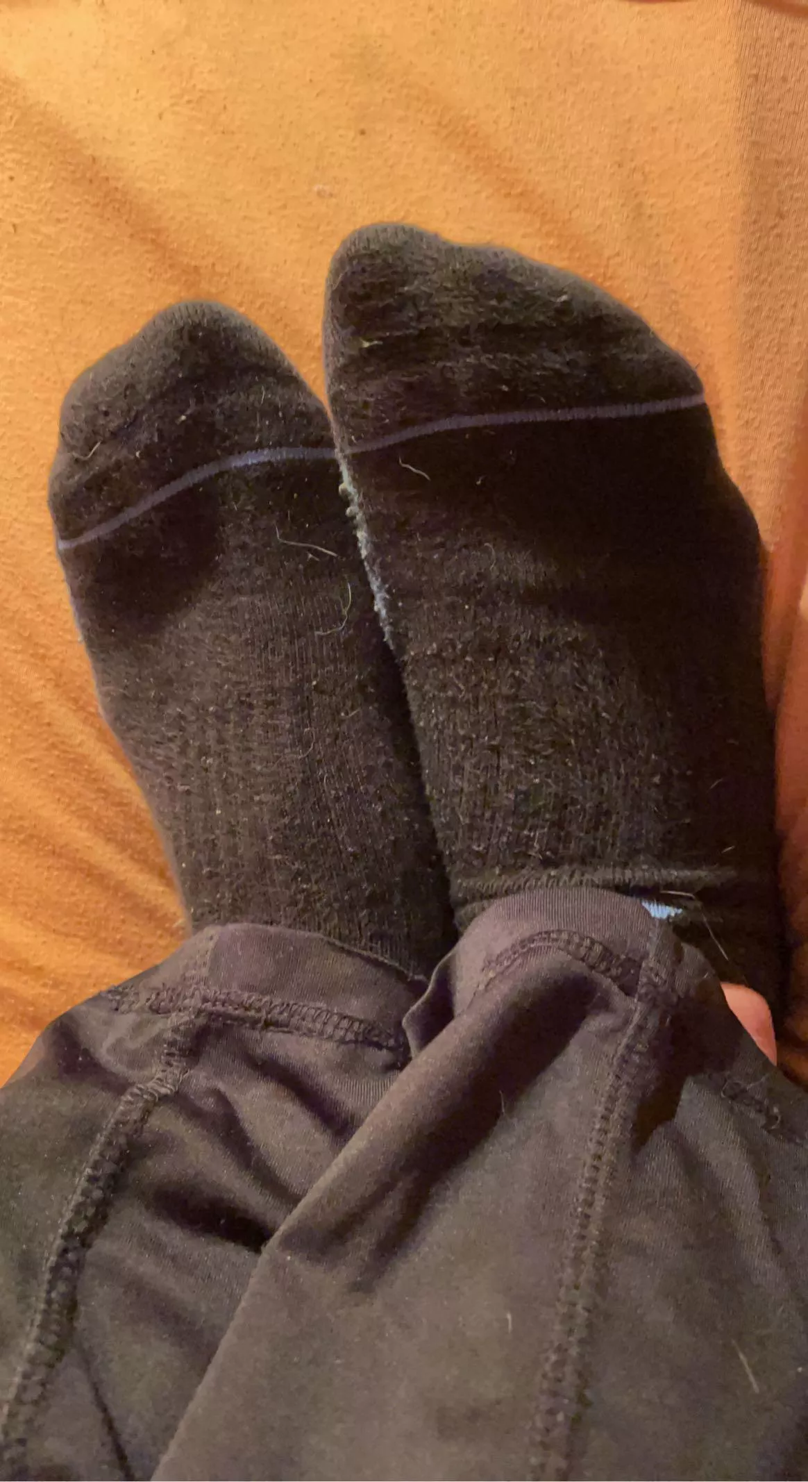 Do you prefer them dirty and smelly or clean? I have a bunch of used/worn socks for sale btw🧦😘