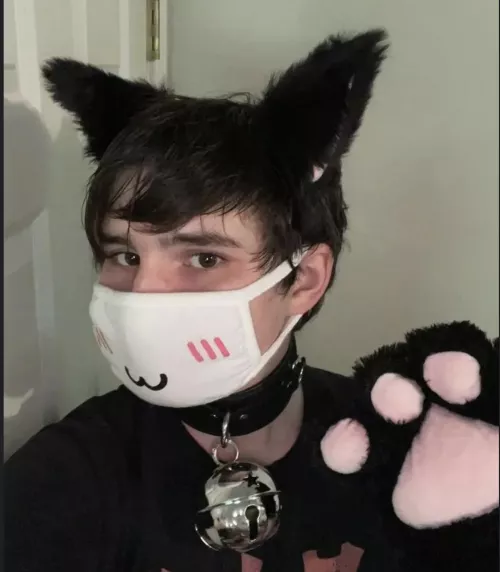 Got some new ears and a new bell recently, wanted to show off here >/////<