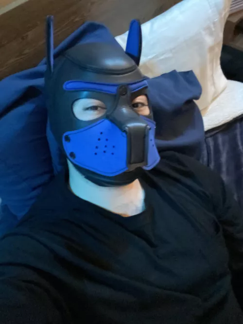 Ruff Monday, but at least I have a new muzzle coming in tonight!