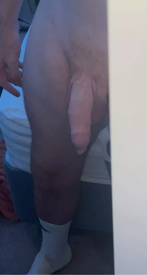 suck me till i’m hard