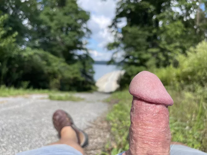 Tried to do a public nature shot on a hike today but rushed the framing (it’s a public trail). Ah well 😂