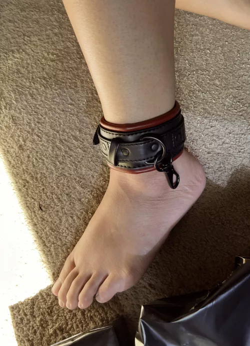 Getting ready for round 2