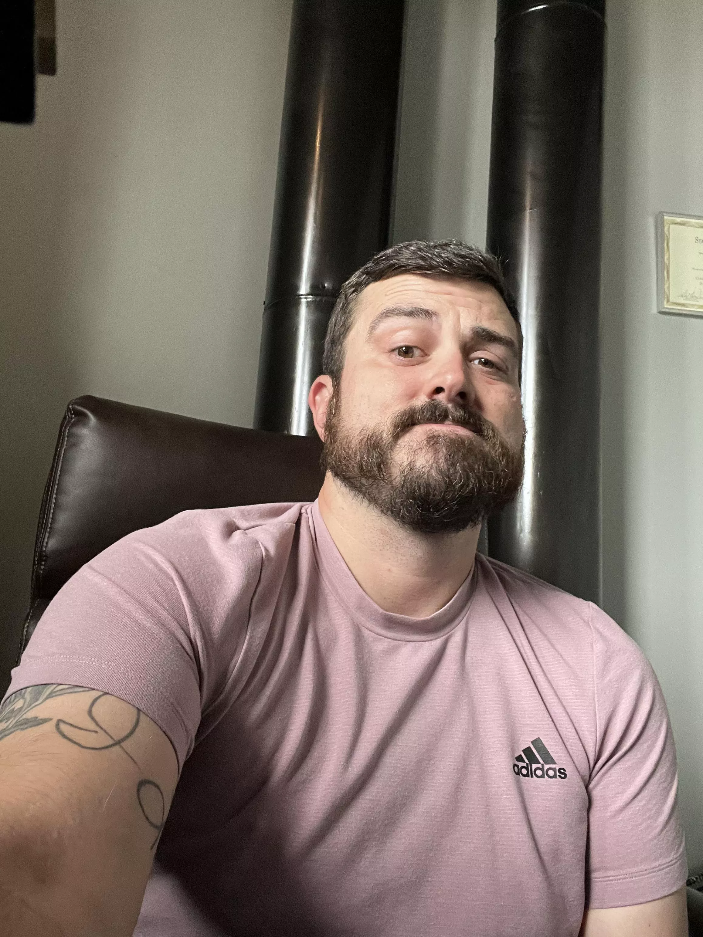 Just ‘business high’