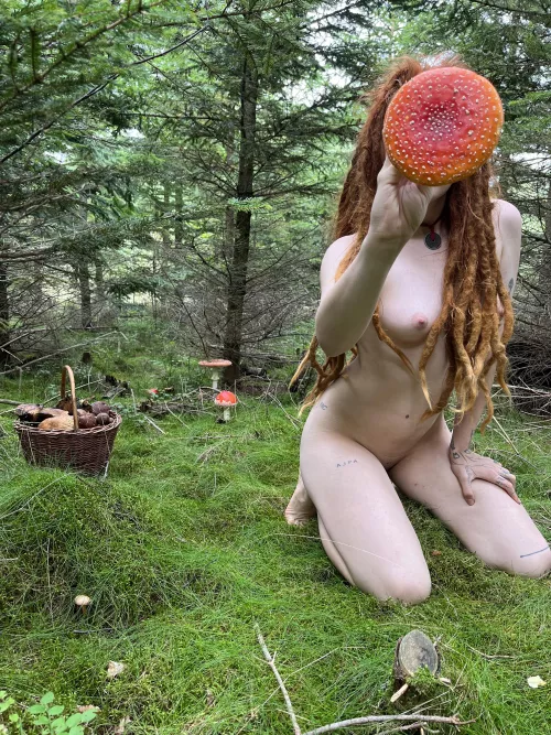 Lets pick some mushrooms